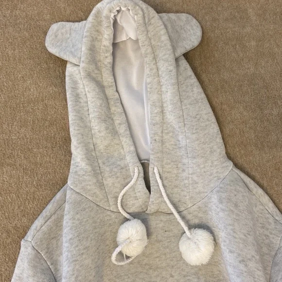 Gray Cat hoodie for carrying kittens/small cats - Picture 4 of 7